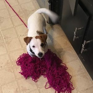 Meet your Posher, Debbie